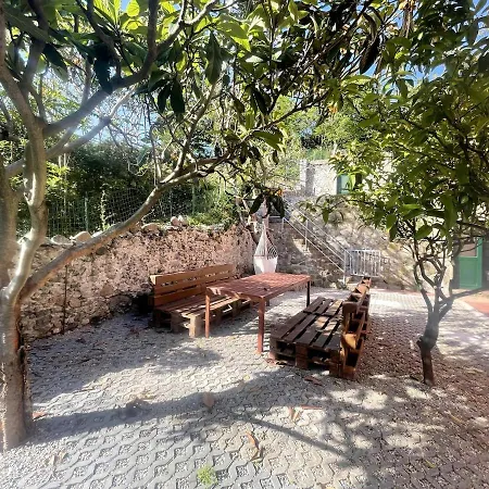 Garden By The Sea, Mesco 60 ヴィラ