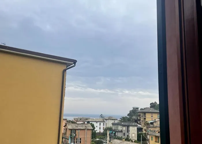 Garden By The Sea, Mesco 60