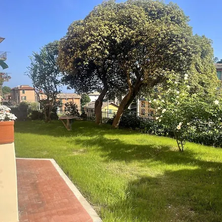 Garden By The Sea, Mesco 60 *