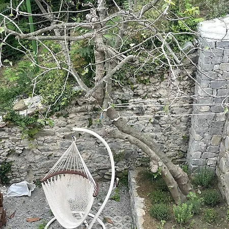 Garden By The Sea, Mesco 60
