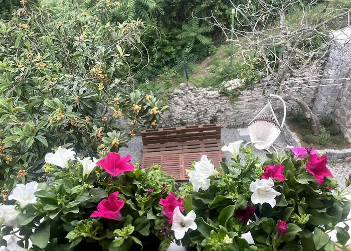 Garden By The Sea, Mesco 60 蒙特罗索阿尔马雷