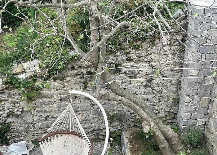 Garden By The Sea, Mesco 60